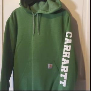 Carrhart Midweight Graphic Logo Sleeve Hoodie. Rich Green Sz Small. New W…
